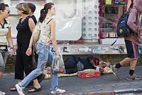 سكان الشارع in downtown Tel Aviv, July 2008<br>Keren Manor/activestills.org<br>