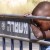 Draconian “Infiltration Law” Passes Final Reading