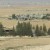 ACRI Expresses Dismay as Knesset Passes First Reading of Bedouin Settlement Bill