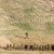 Court Prepares to Hear ACRI’s Petition to Prevent Expulsion of 1,000 Palestinian Villagers