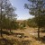 ACRI Files High Court Lawsuit Against Restrictive Community on State Lands