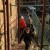 ACRI Petition to Open Hebron Stairway for Palestinian Access