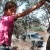 שבוע קשה במסיק הזיתים הפלסטיני: 450 עצי זית ניזוקו